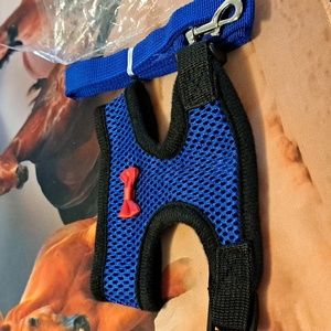 Blue small chicken harness with leash/ BUNDLE ONLY